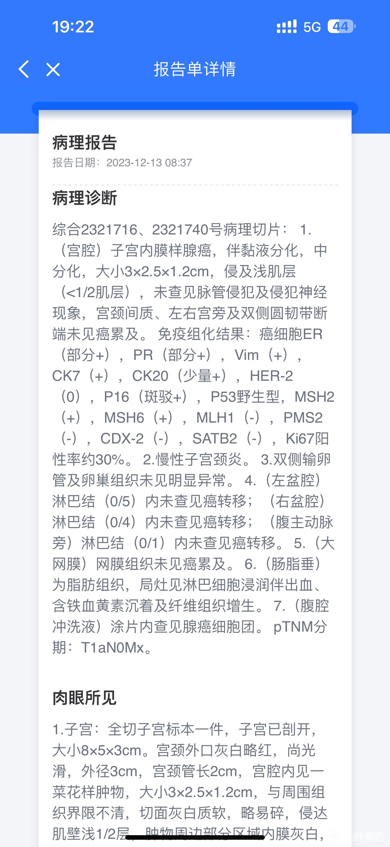 子宫内膜癌大病理