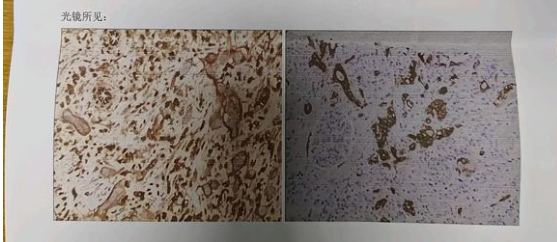 有没有大佬帮我看下这个报告啊？